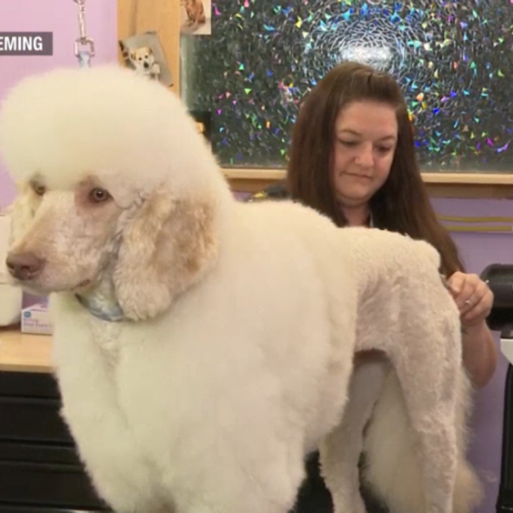 Constance Kwiatkowski