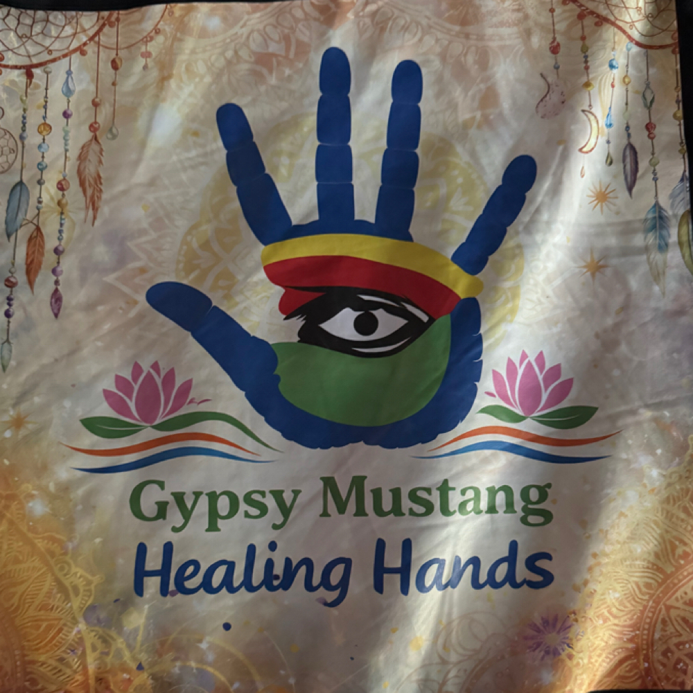 Gypsy Mustang Healing Hands Lisa Jones at Miles of Wellness and Healing in Brighton, MI