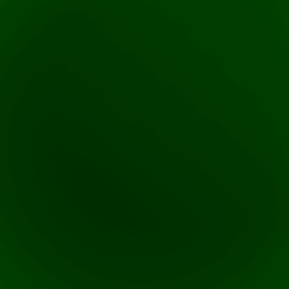 Erica Alt at Salon MM in St Augustine, FL