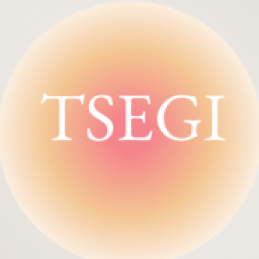 TSEGI Top Artist