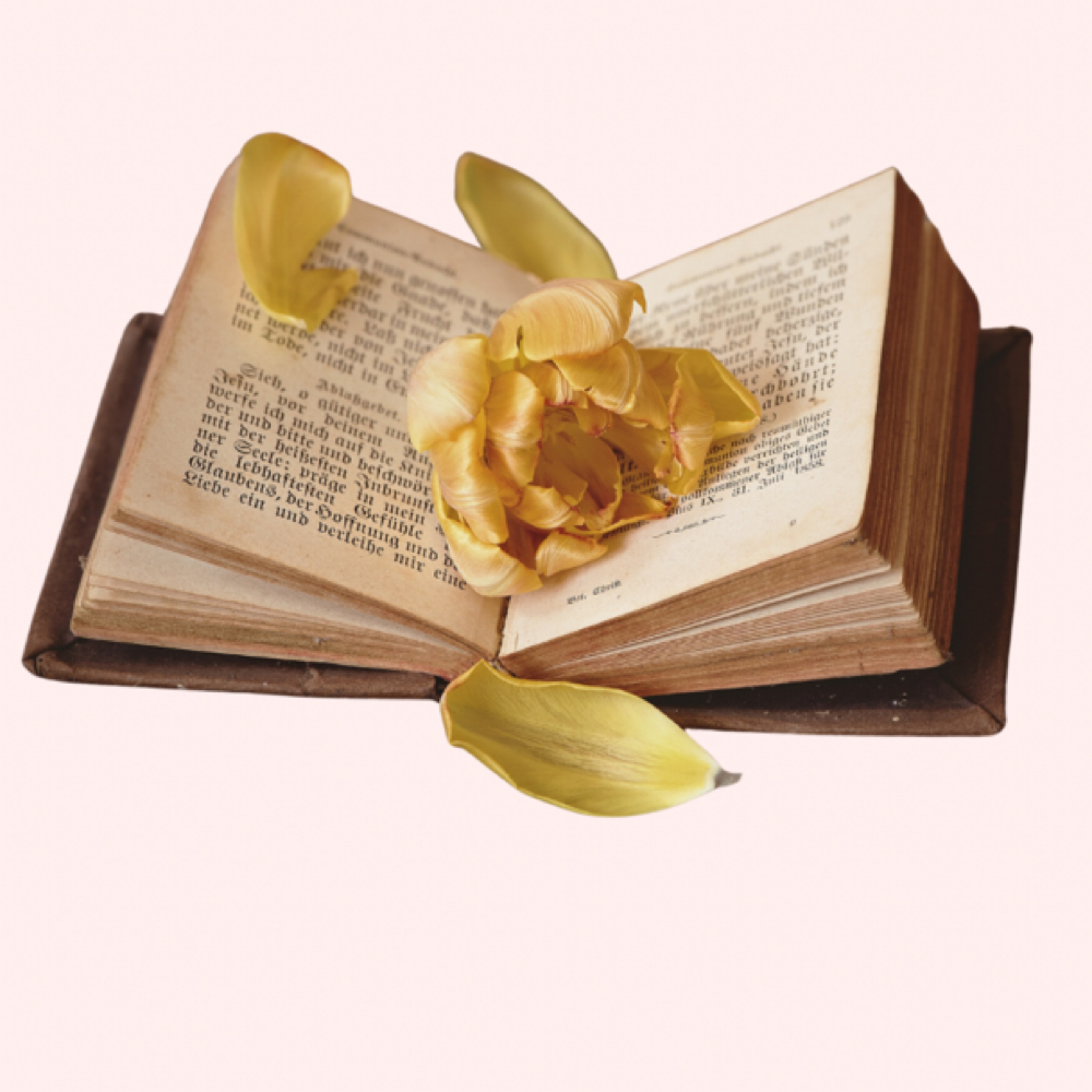 Book Club - Club De Lectura Bella