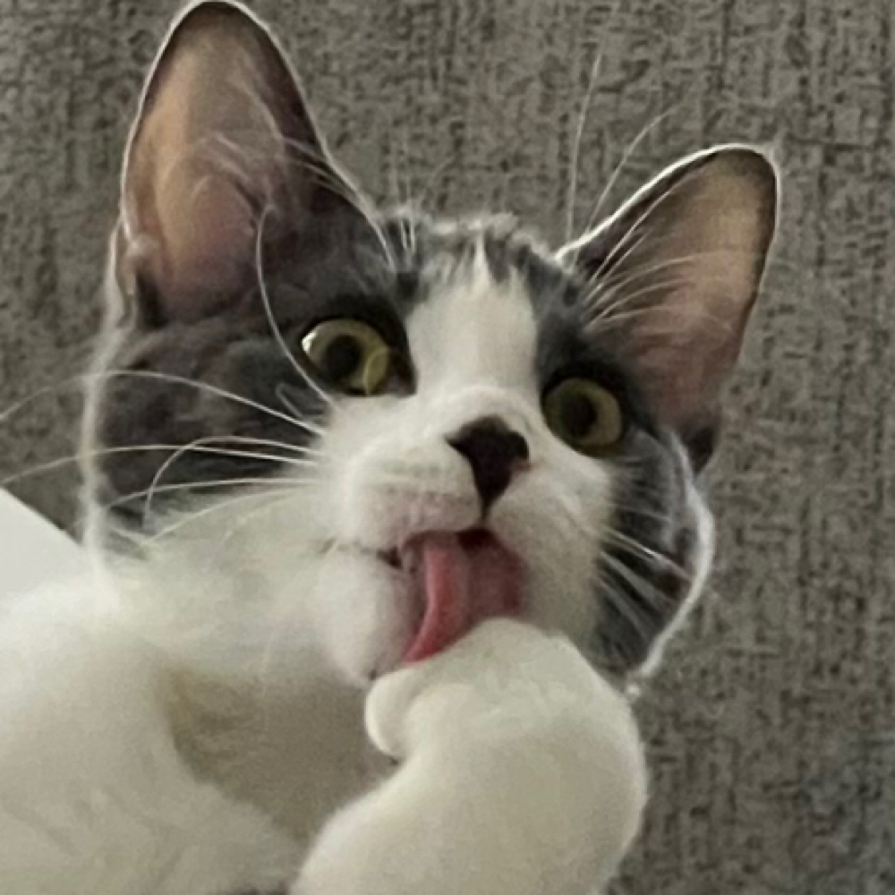 Cookie S