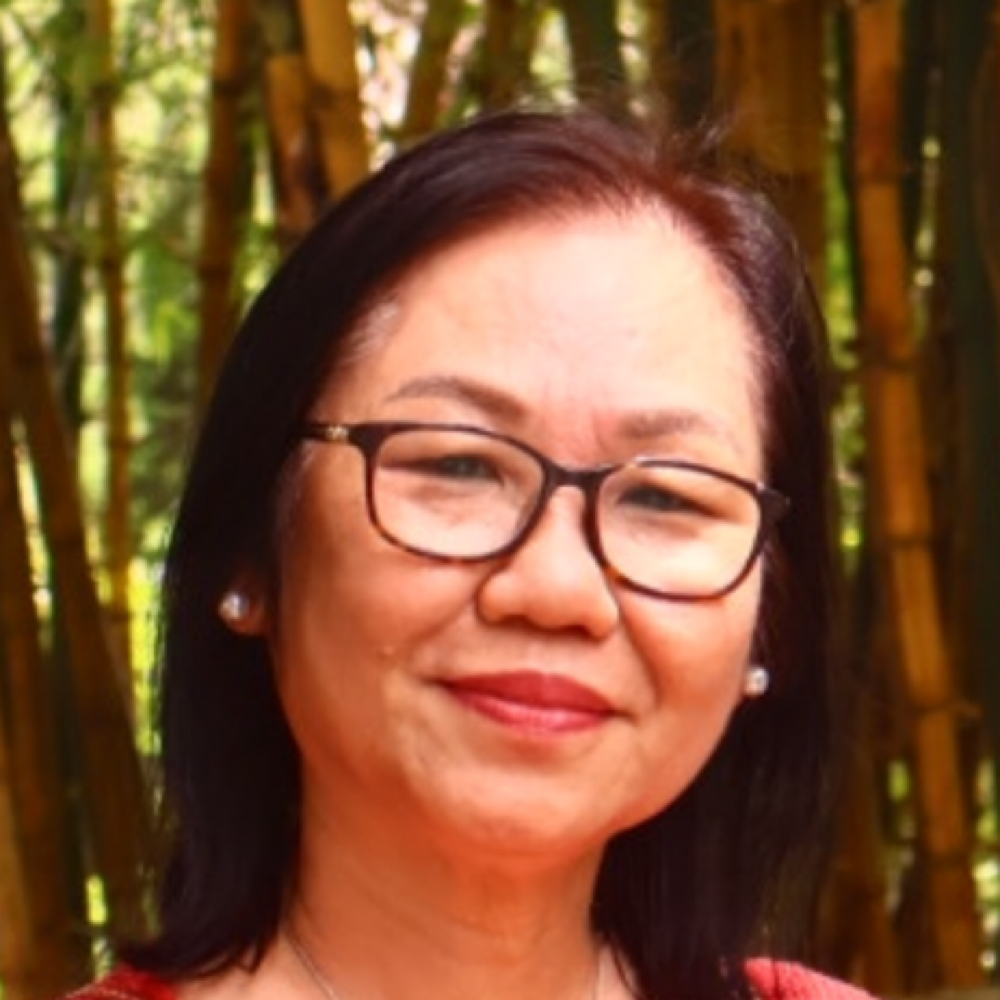 Vi Nguyen