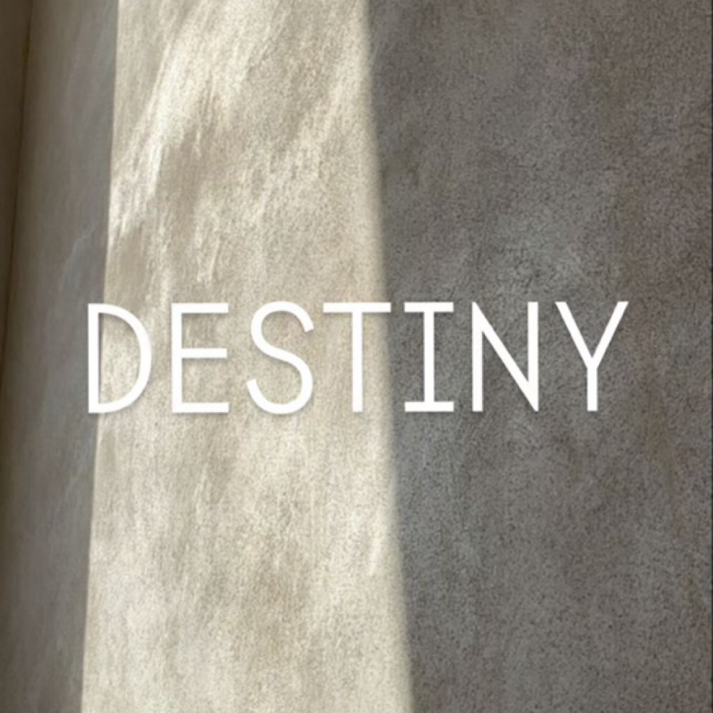 Destiny H