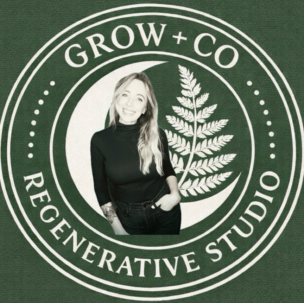 Casey Stephenson Color and Cuts