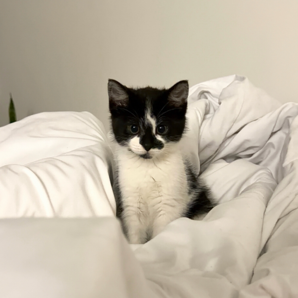 Cassie Nguyen at Sugar Polish Nail & Lash Howell Mill in Atlanta, GA