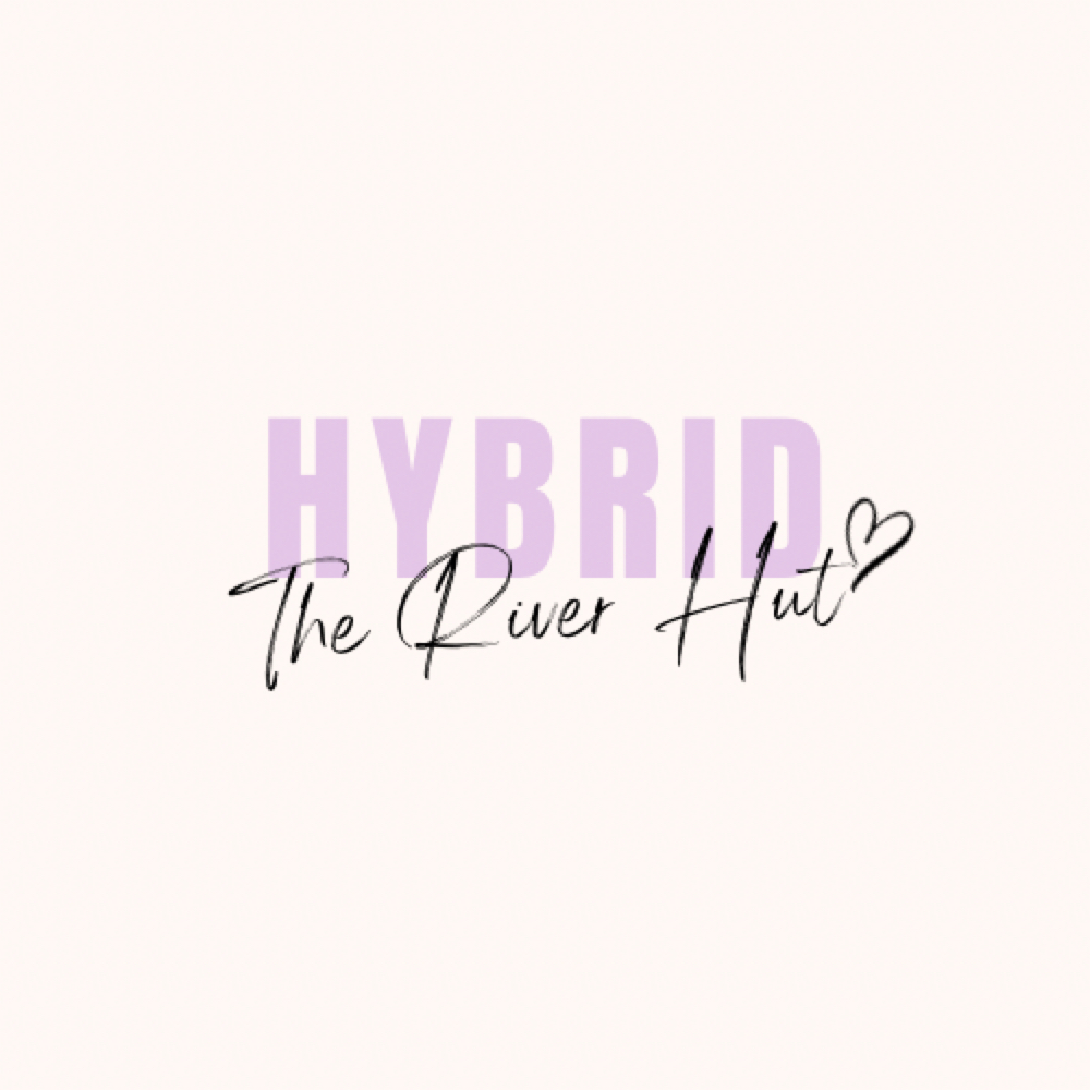 Hybrid Bed