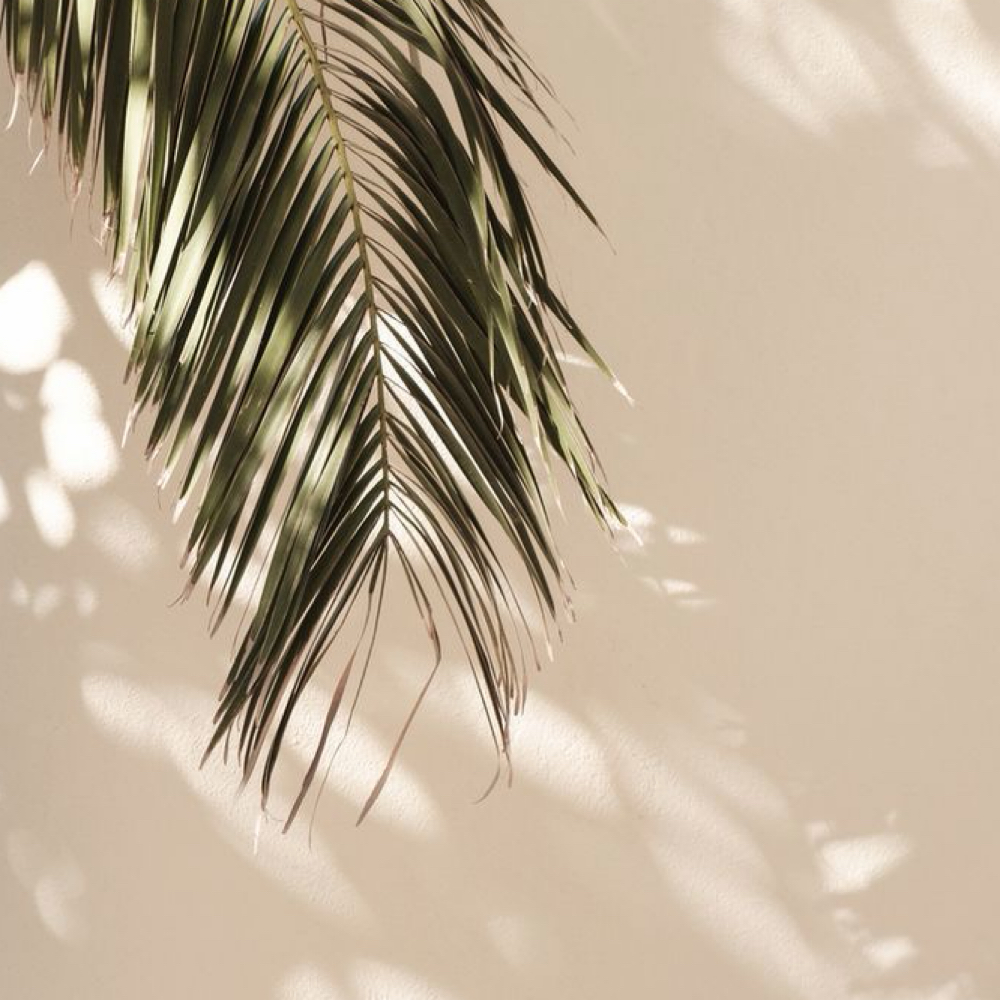 Shantel Cruz at The Hair Lounge in Appleton, WI