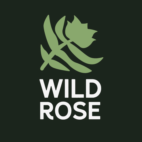 Mallory Boyum at Wild Rose Med Spa in Chanhassen, MN