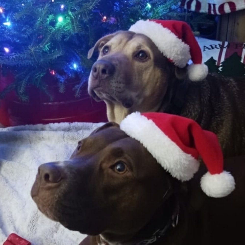 Nicole Conca at Fly Girl Salon in Bristol, PA