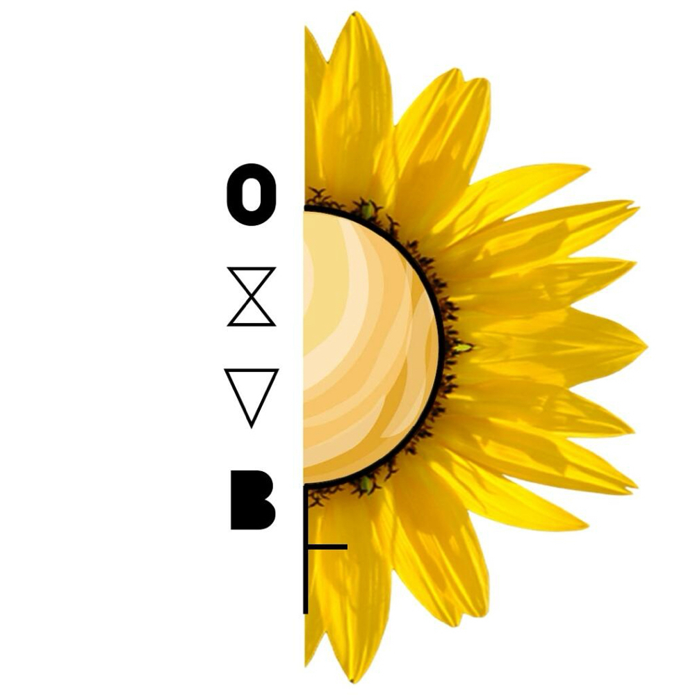 Oshun X Venus CosmoSpa
