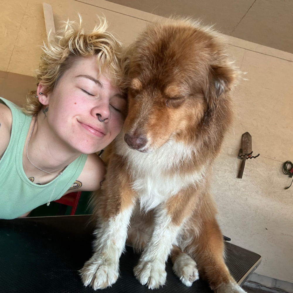Miranda Lamb at Kaleidoscope Grooming in Calera, OK