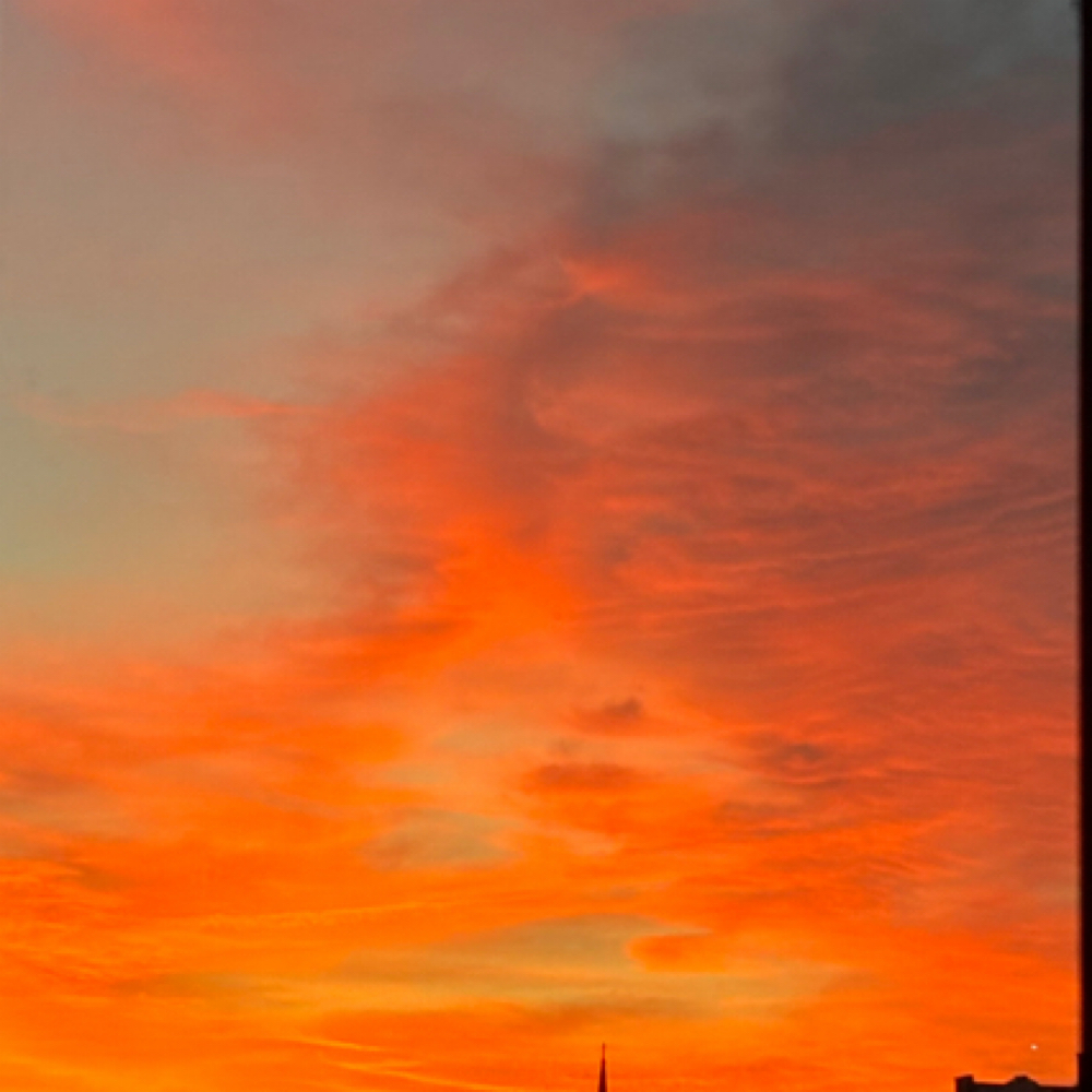 Sophie Cairns at Laura Brennan in New York, NY