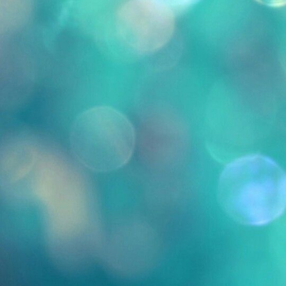 Payton Sisemore at The Cottage in Farmington, AR