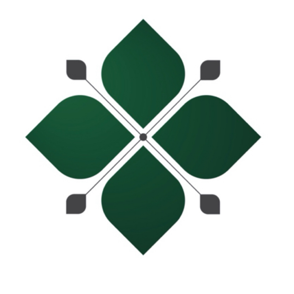 Emerald healing Team