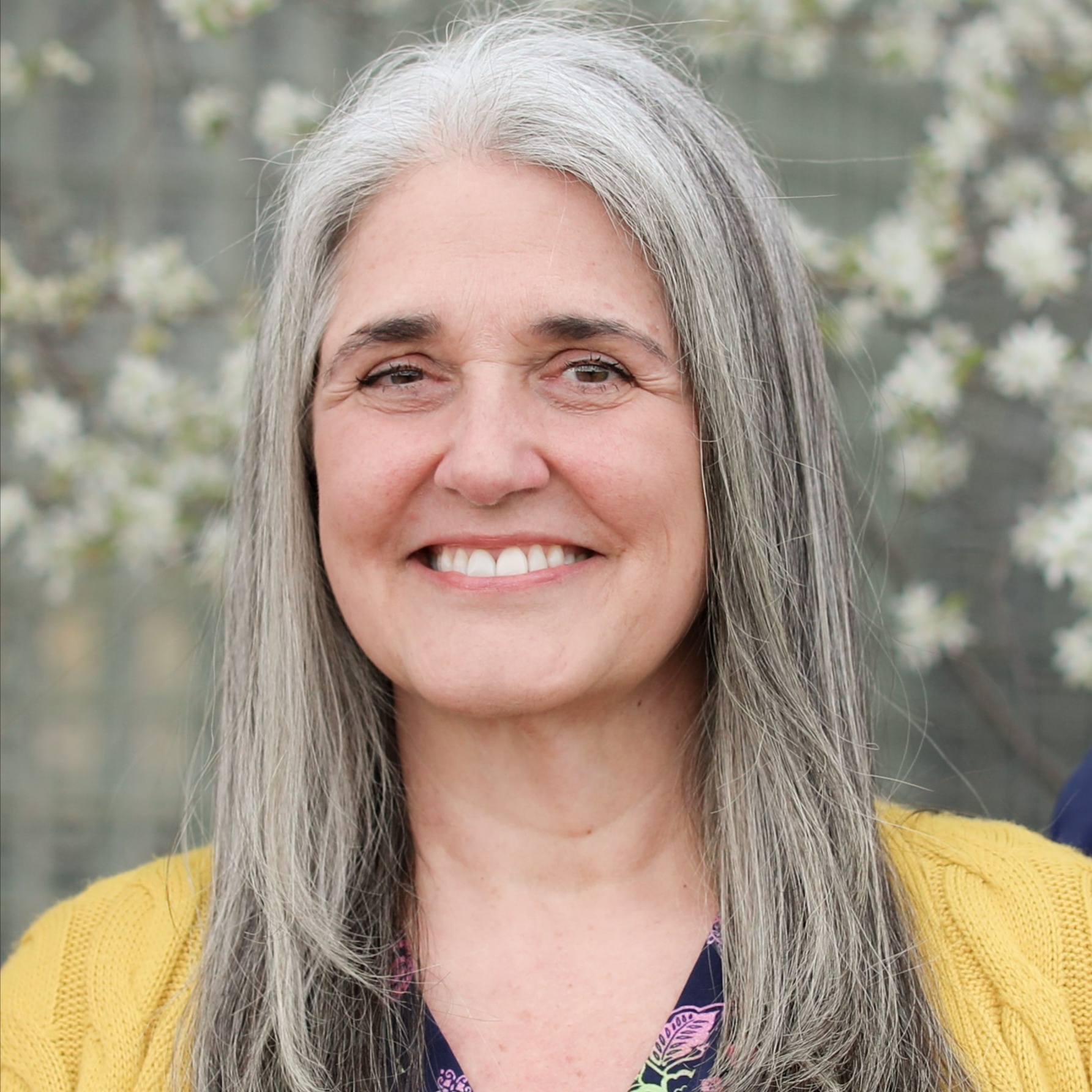 Debra Sargent at Synergetic Healing in Troy, MI