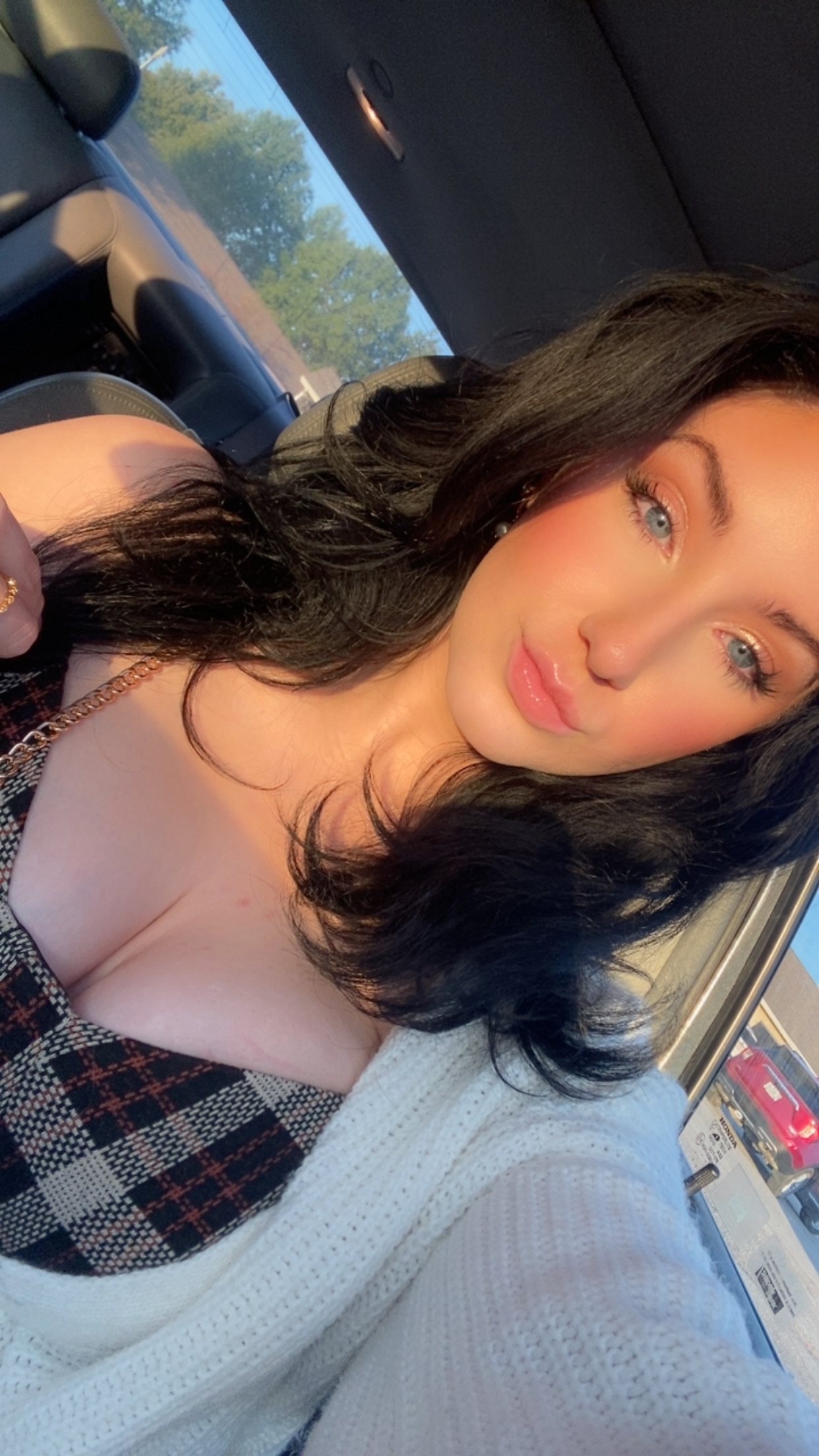 Terra Lunt