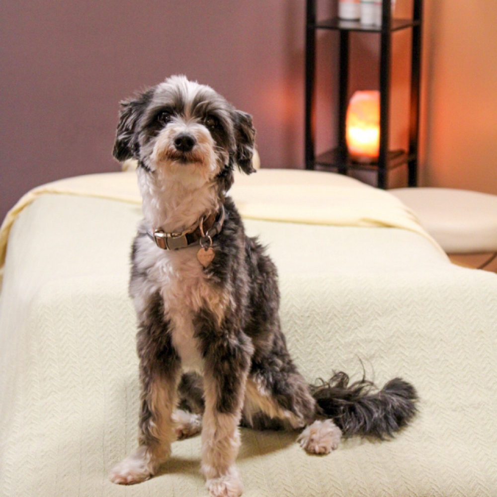 Kodi The Studio Sweetheart