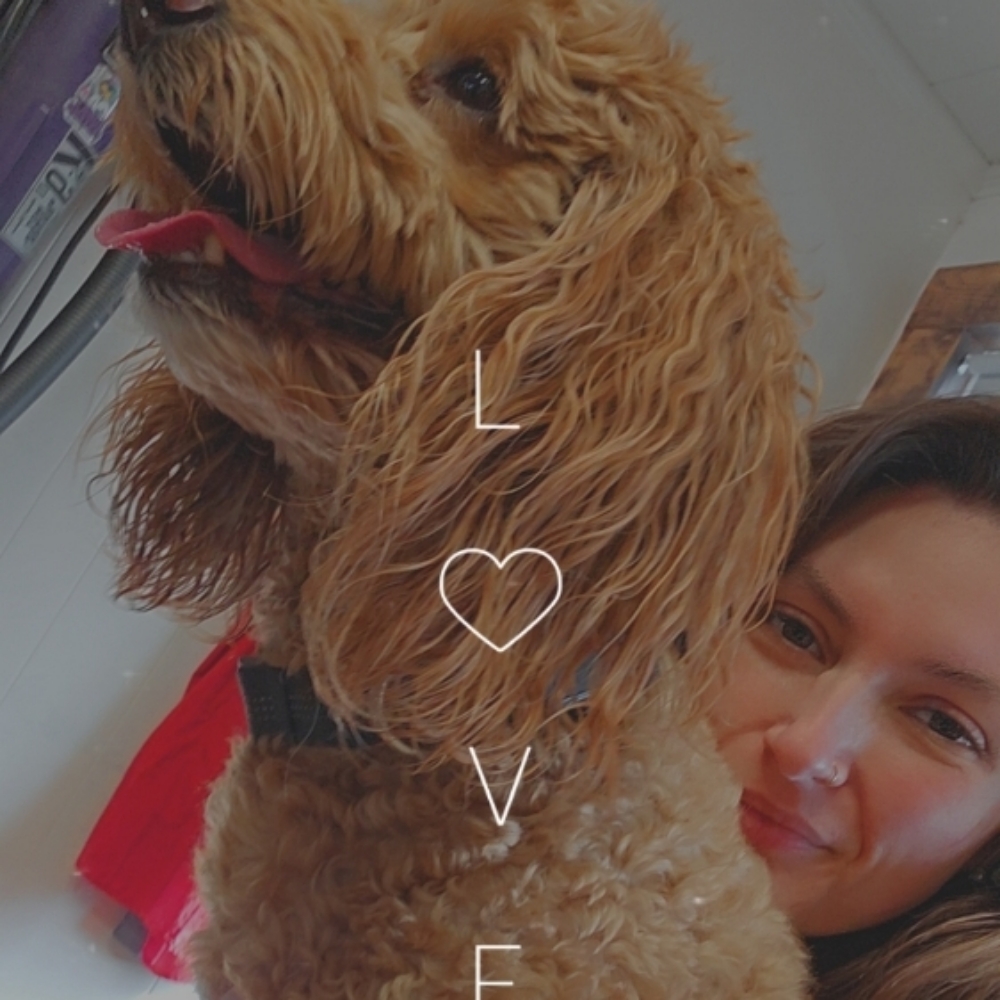 Kaylee Taylor at Ruff Cuts Grooming Spa in El Dorado, AR