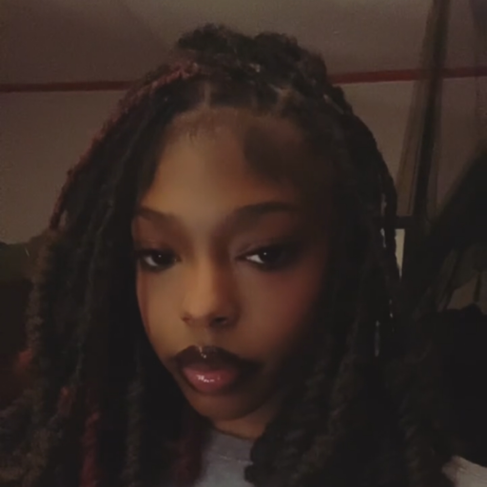 Aaliyah Brue at Braids&Tingz by TericaB LLC in New Roada, LA
