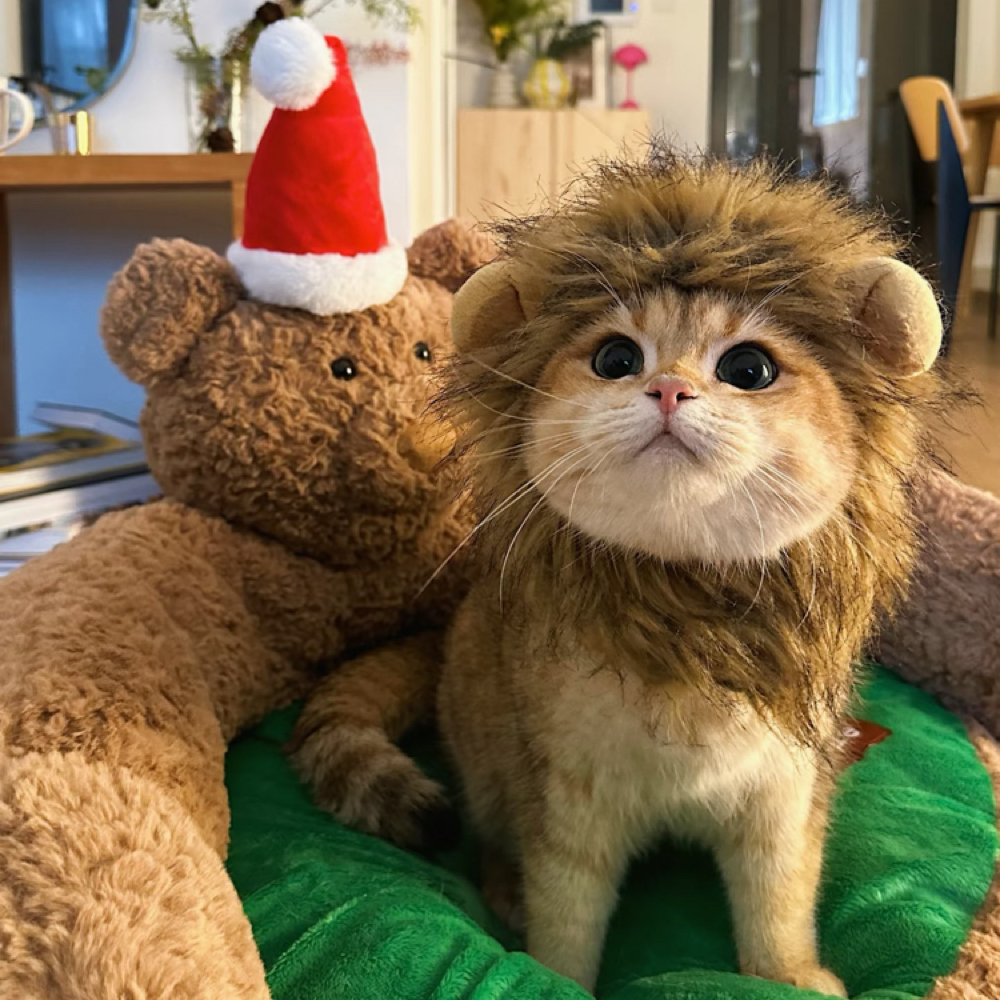 Tina Tao at Aperson nail studio in Daly City, CA