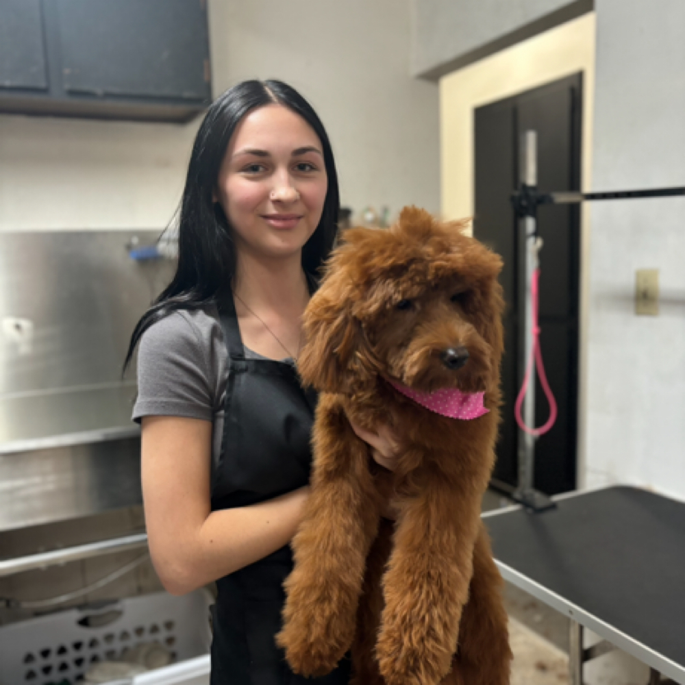 Mikayla Dog Groomer